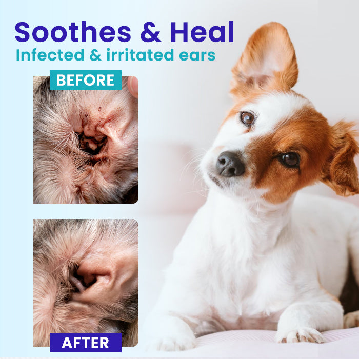 🌟 Official Store | Cvreoz® Pet EarPro Drops FM+