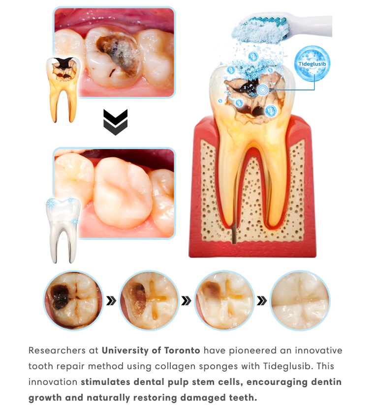 HONXI™ Focussmile Bee Venom Treatment Oral Powder🦷 (BDA Recommended)
